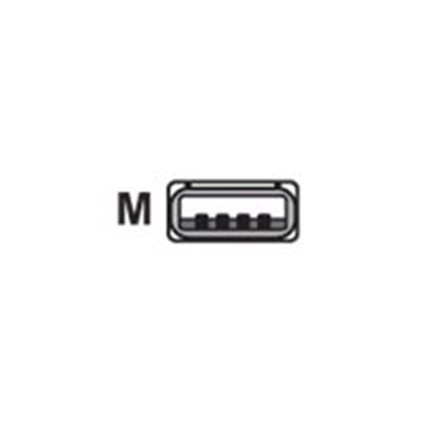 Cable - USB - Type A - Coiled -