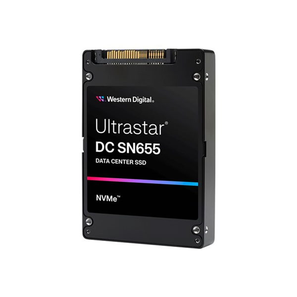 DC SN655 SFF15 61.44TB PCIE DP BICS5 SE