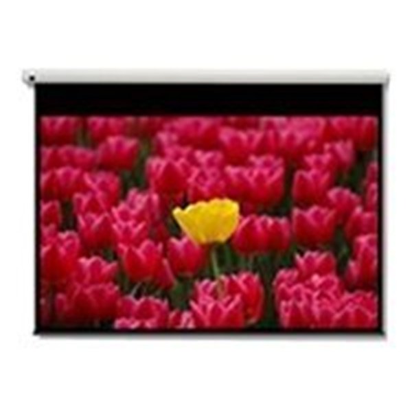 DE-9120EGA/120" 16:9 electric screen