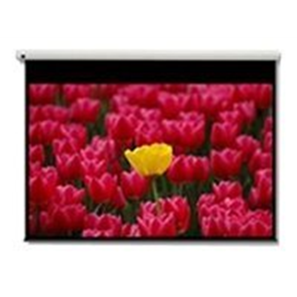 DE-9120EGA/120" 16:9 electric screen
