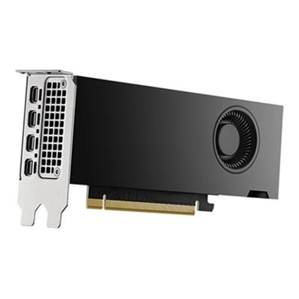 Dell NVIDIA RTX 2000 Ada Generation 16GB