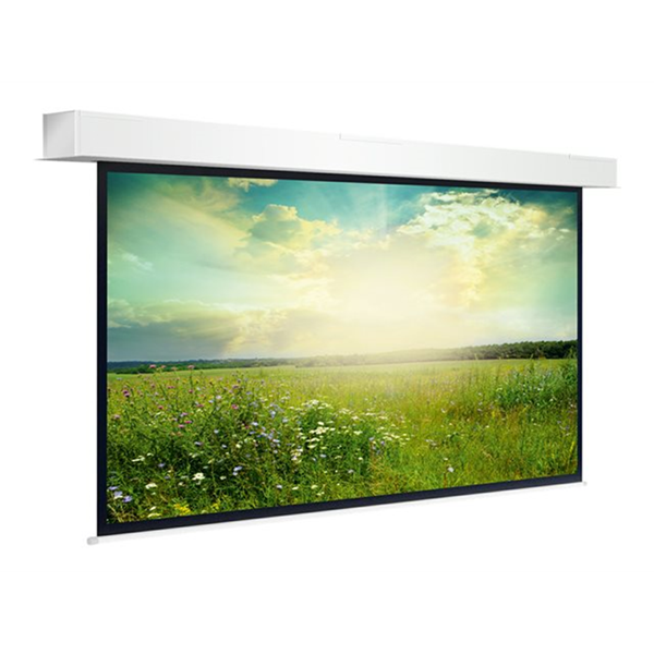 Descender Large Electrol WS 255x340 Matt