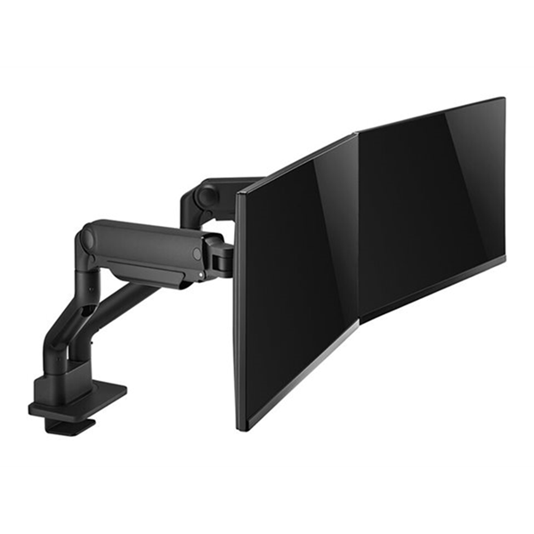 Desk Mount double display