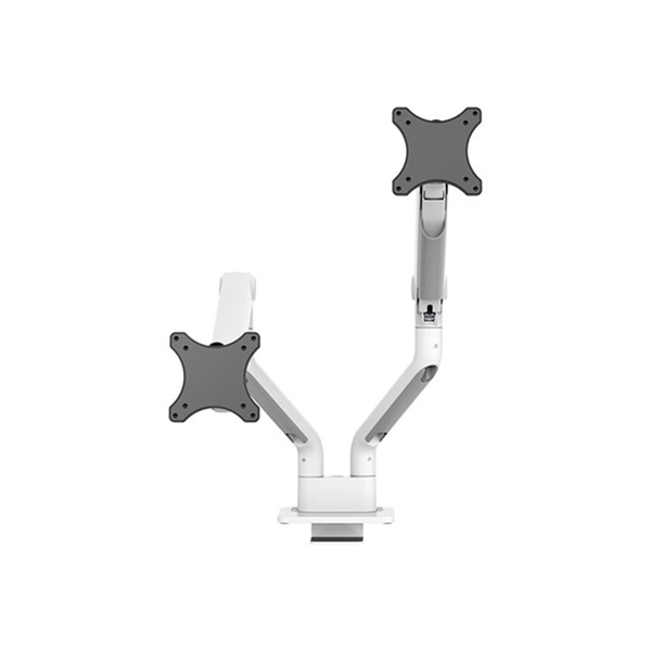 Desk Mount double display