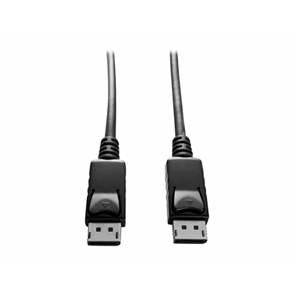 DISPLAYPORT 2 DISPLAYPORT CABLE DISPLAYPORT 2 DISPLAYPORT CABLE