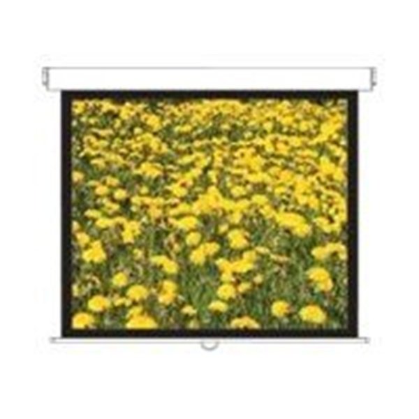 DS-3120PMG+/Screens Pull Down 4:3
