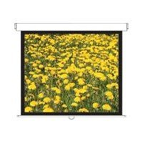 DS-3120PMG+/Screens Pull Down 4:3