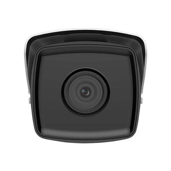 Easy IP 2.0+ (H.265+)