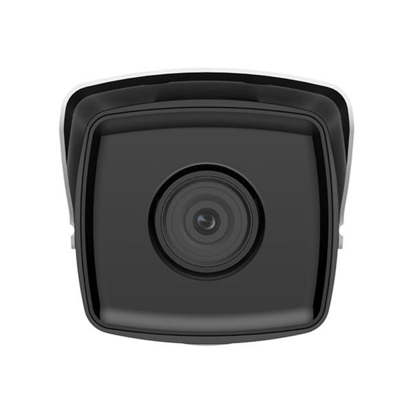 Easy IP 2.0+ (H.265+)