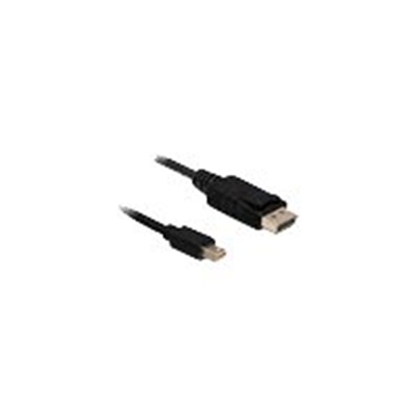 Eizo DisplayPort kabel - 2 m