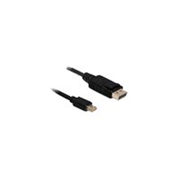 Eizo DisplayPort kabel - 2 m