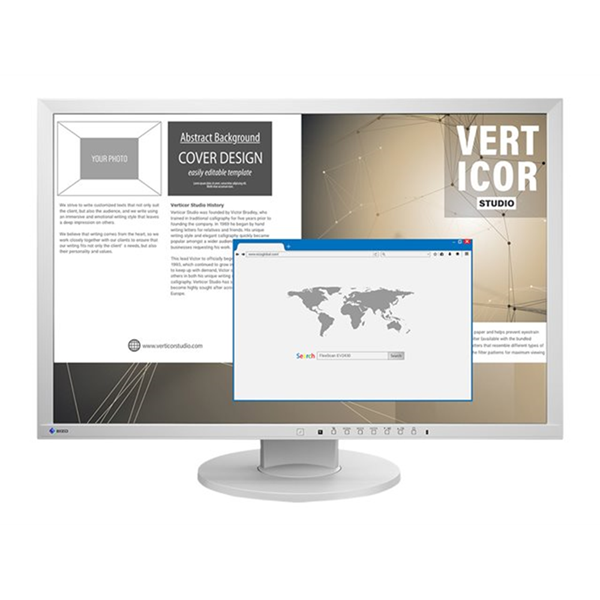 EIZO FlexScan EV2430-GY