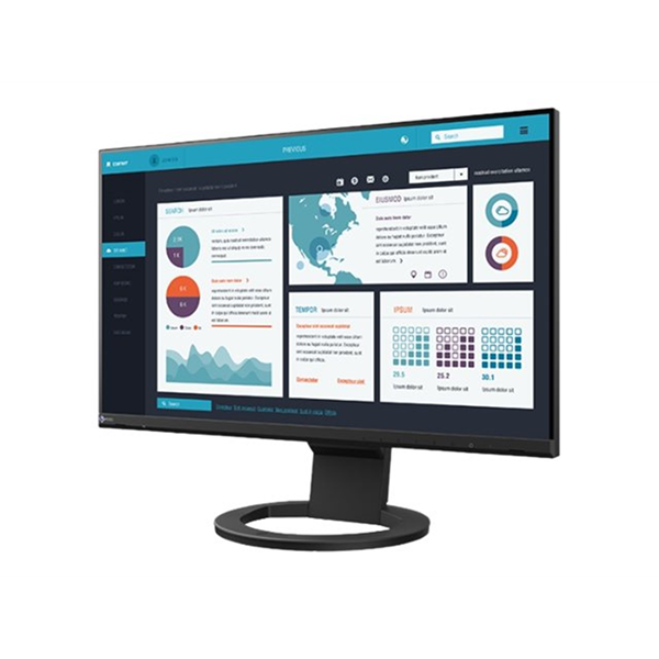 EIZO FlexScan EV2490-BK