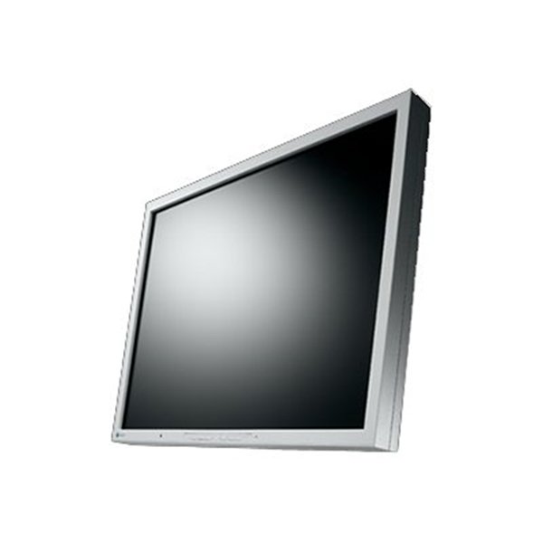 EIZO FlexScan S2133-GY
