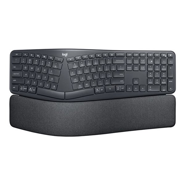 ERGO K860 for Business-GRAPHITE - PAN -