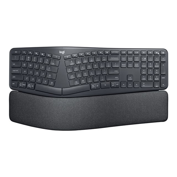 ERGO K860 for Business-GRAPHITE - PAN - ERGO K860 for Business-GRAPHITE - PAN -