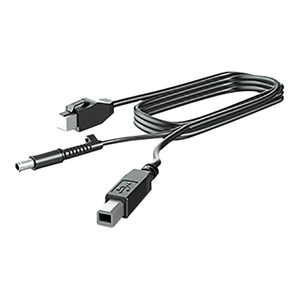 HP 300cm DP CABLE
