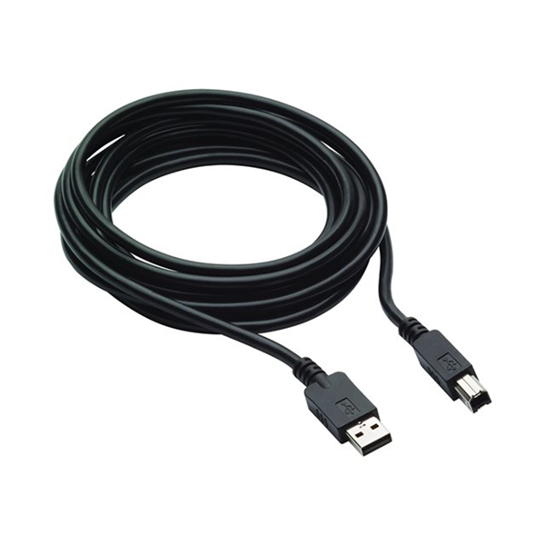 HP 300cm DP+USB B-A CABLES