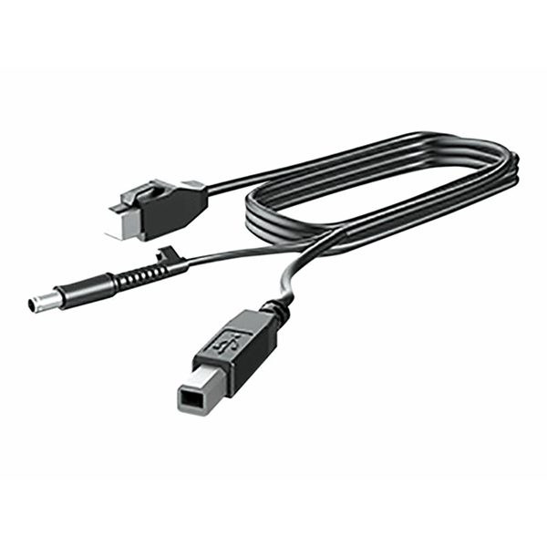 HP 300cm DP+USB PWR CABLE