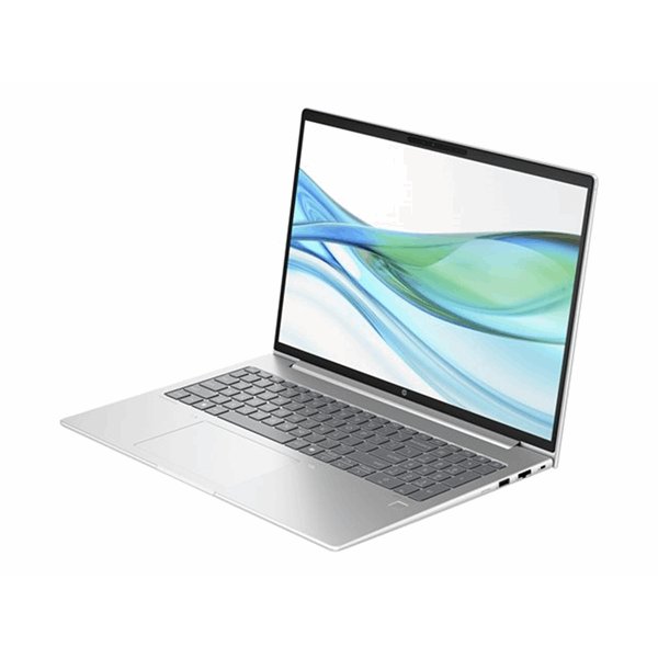 HP ProBook 465 G11 Notebook HP ProBook 465 G11 Notebook