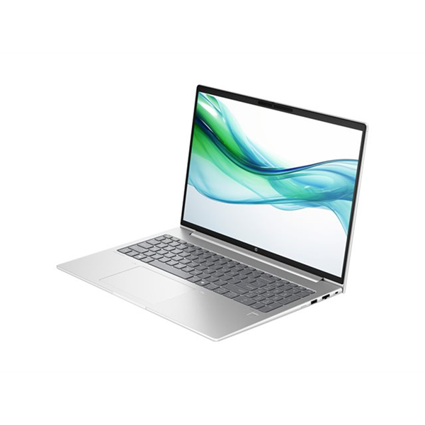 HP ProBook 460 G11 Notebook