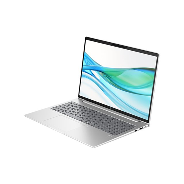 HP ProBook 465 G11 Notebook HP ProBook 465 G11 Notebook