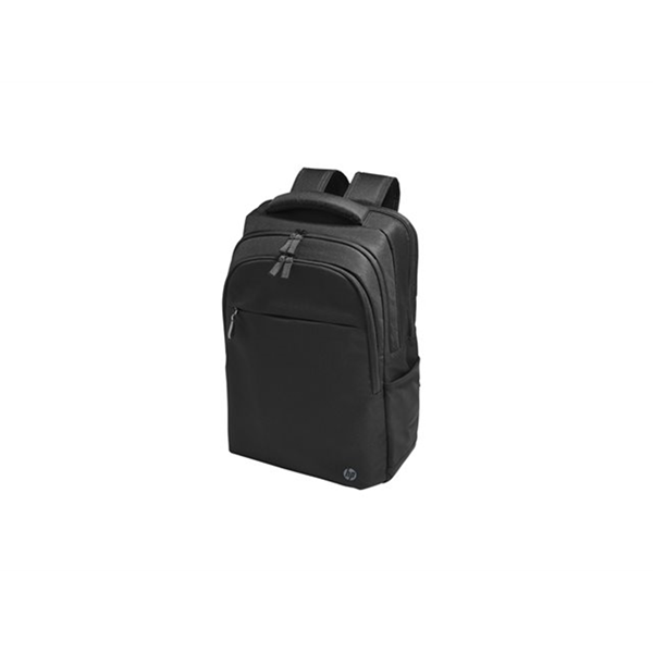 HP Prof 17.3 Laptop Bckpck