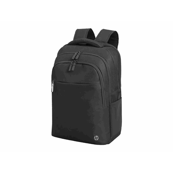 HP Rnw Business 17.3 Laptop BPk