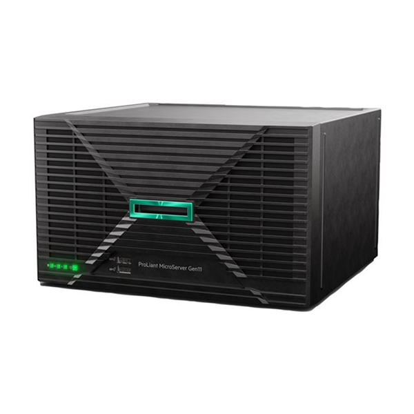 HPE MicroSvr G11 E-2434 16G NHP 1TB Svr