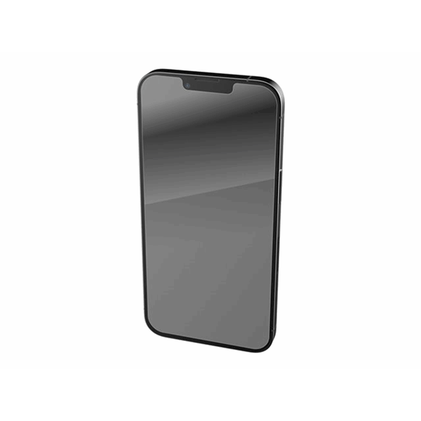InvisiS Glass E Priv iPhone 14/13/13P FS