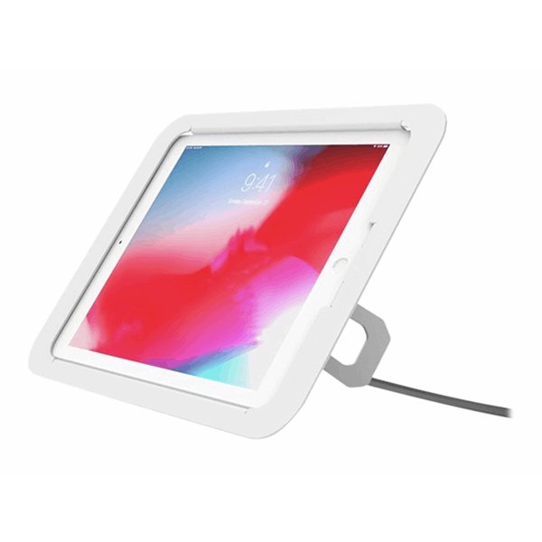 iPad 10.2 Lock and Security Case Bundle