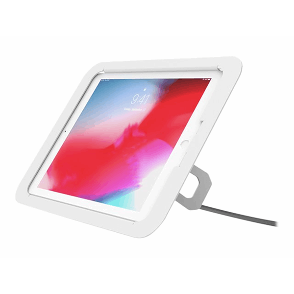 iPad 10.2 Lock and Security Case Bundle