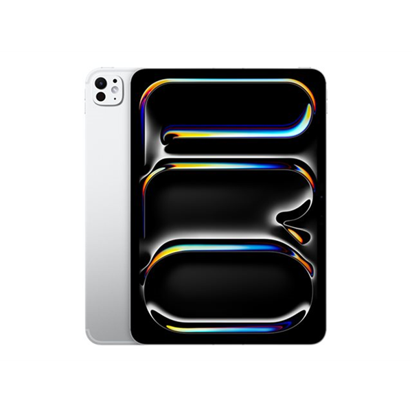 iPad Pro 11 Wi-Fi Cl 2TB SLnt