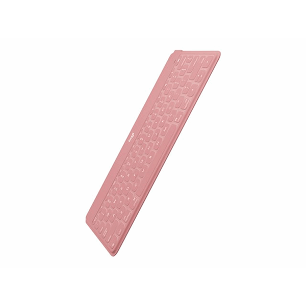 Keys-To-Go BLUSH PINK PAN NORDIC