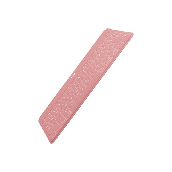 Keys-To-Go BLUSH US INTNL Keys-To-Go BLUSH US INTNL