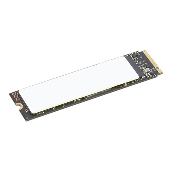 Lenovo 1TB Performance PCIe Gen4 NVMe OPAL2 M.2 2280 SSD