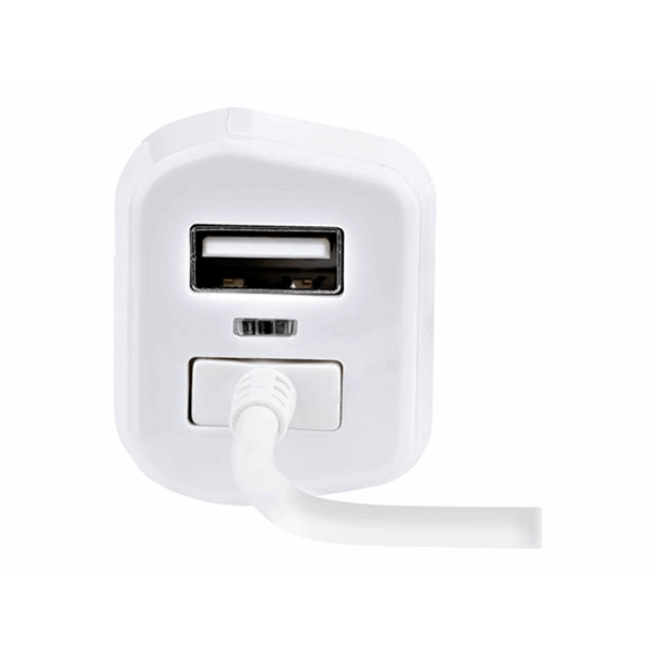 Lightning Car Charger w/ Cable 2 Ports