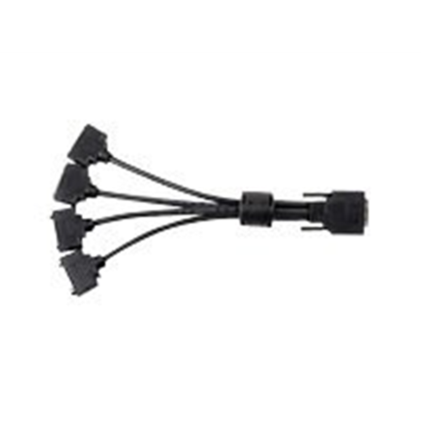 monitor adapter cable - KX20 to quad DVI-I (female) - RoHS