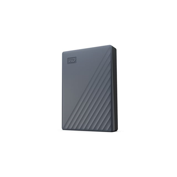 MY PASSPORT USB-C 4TB GRAY
