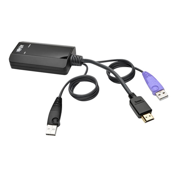 NetDirector HDMI USB Server Interface Unit with Virtual Media and CAC Support (B064-IPG Series) USB and HDMI