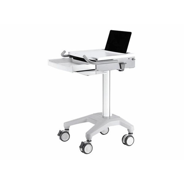 NewStar Mobile Laptop Cart 10-22"