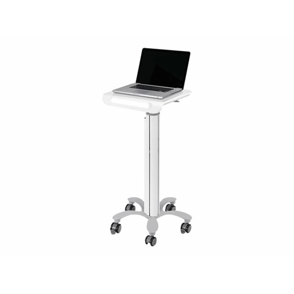 NewStar Mobile Laptop Cart 10-22"