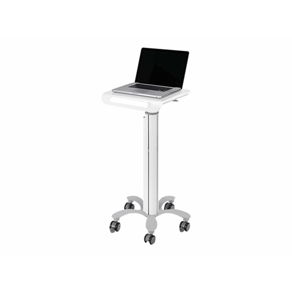 NewStar Mobile Laptop Cart 10-22"