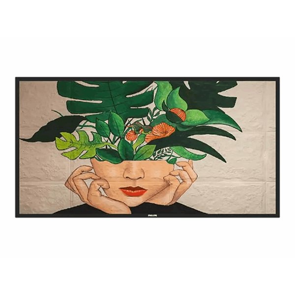 Philips 43 D-Line FHD 24/7