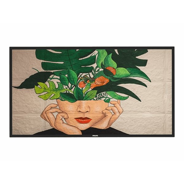 Philips 65 D-Line FHD 24/7