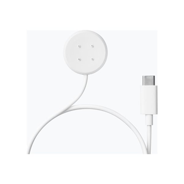 Pixel Watch 2 Fast Charger USB-C EU Whte