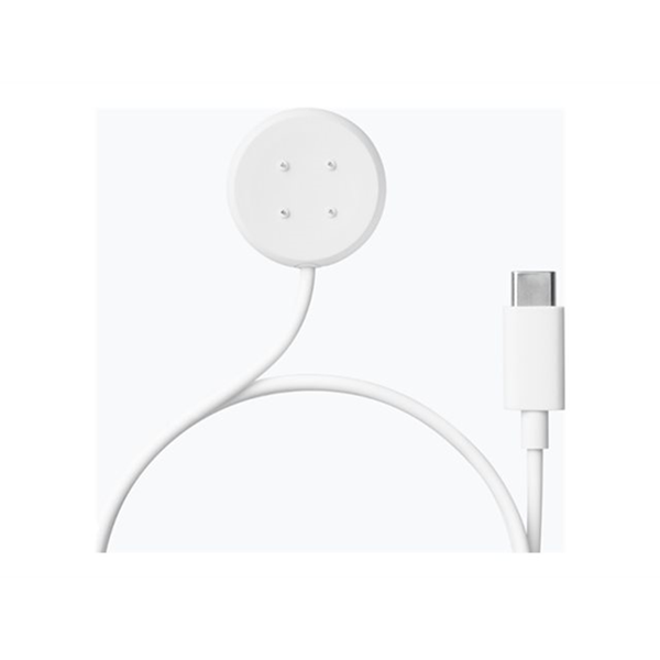 Pixel Watch 2 Fast Charger USB-C EU Whte