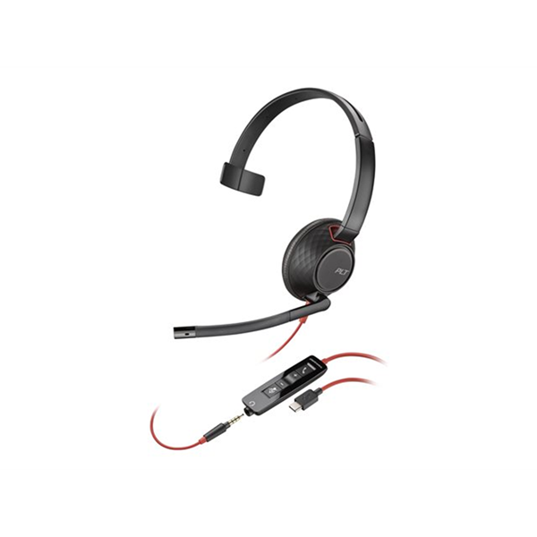 Poly BW 5210 USB-C HS +USB-C/A (Bulk)