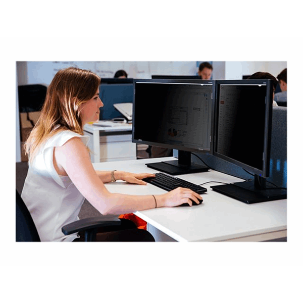 Privacy Screen 24" Widescreen 16:10