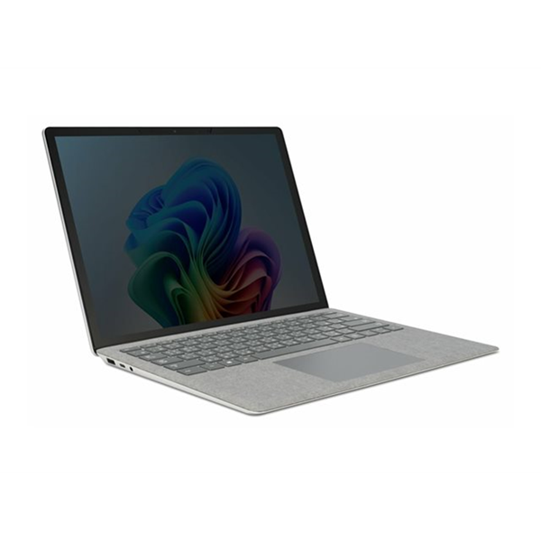 Privacy Screen Filter 2-Way Removable Privacy Screen Filter 2-Way Removable